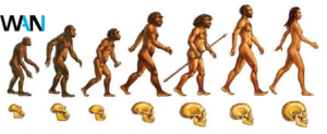 Theory evolution (Evolution Theory)