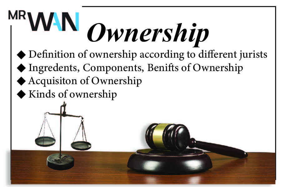 Owner ship and its types-